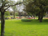 img0058.jpg