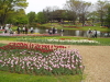 img0059.jpg