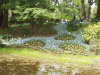 img0070.jpg