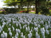 img0073.jpg