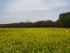 img0076.jpg