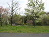 img0077.jpg