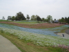 img0080.jpg