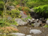 img0085.jpg