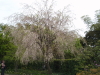 img0089.jpg