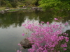 img0090.jpg