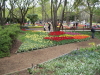 img0093.jpg