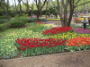 img0094.jpg