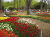 img0097.jpg