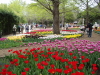 img0099.jpg