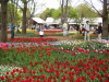 img0100.jpg