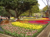 img0101.jpg