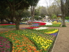 img0102.jpg