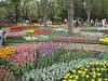 img0103.jpg