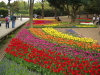 img0104.jpg