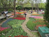 img0105.jpg