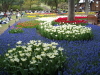 img0111.jpg