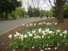 img0113.jpg