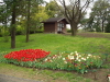 img0114.jpg