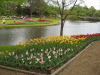 img0116.jpg