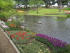 img0117.jpg