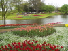 img0119.jpg