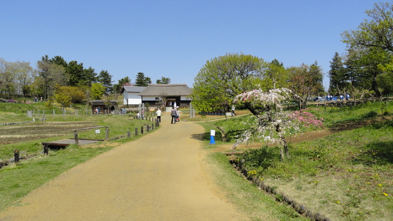 img0001.jpg