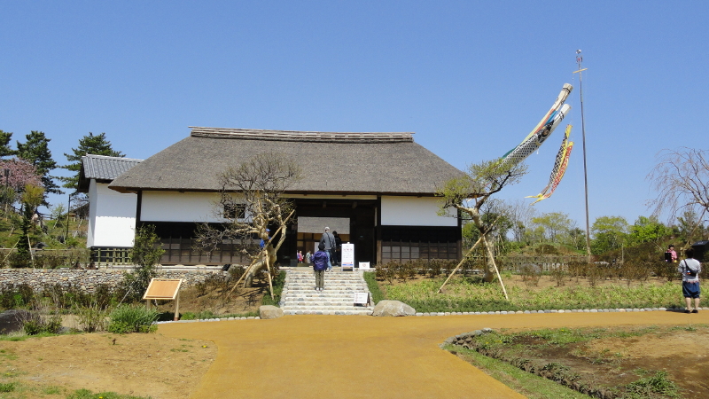img0005.jpg