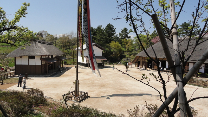img0009.jpg