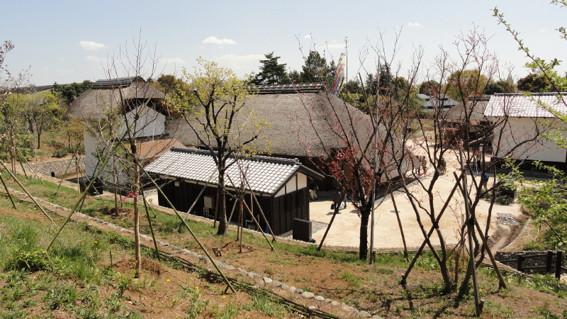 img0010.jpg