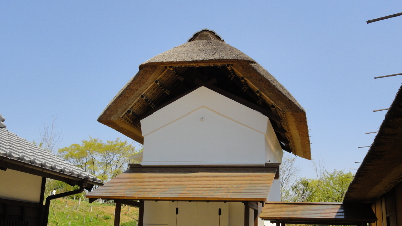 img0011.jpg