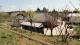 img0010.jpg