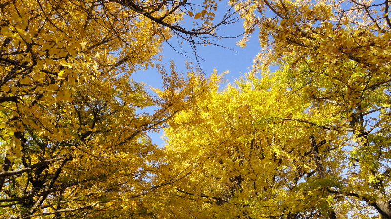 img0003.jpg