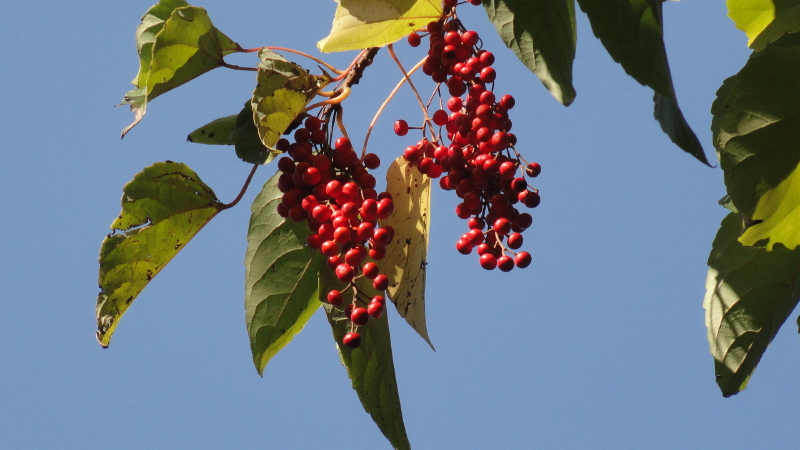 img0012.jpg
