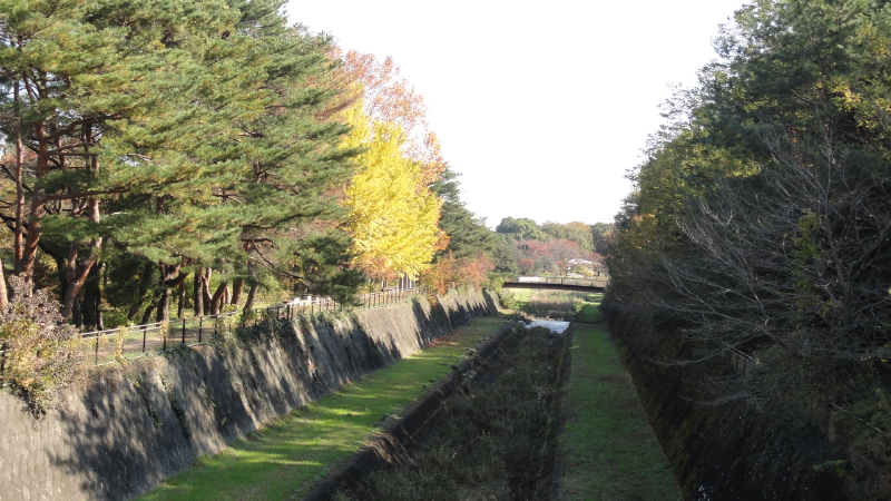 img0014.jpg