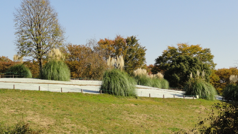img0015.jpg