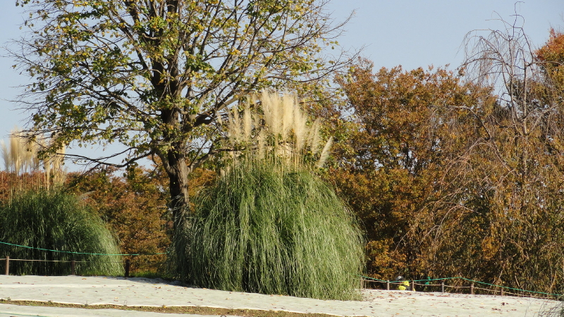 img0016.jpg