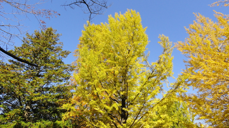 img0021.jpg
