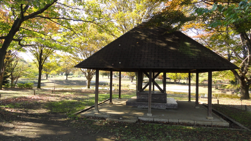 img0029.jpg