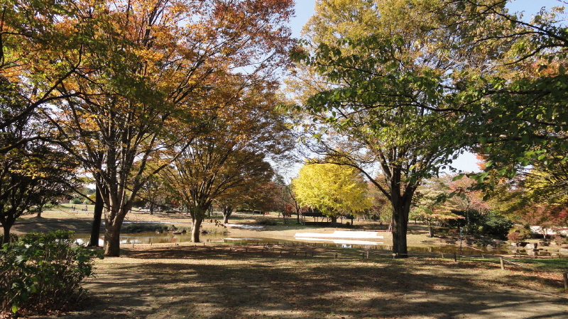 img0030.jpg