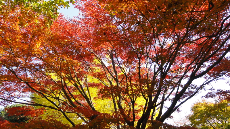 img0040.jpg
