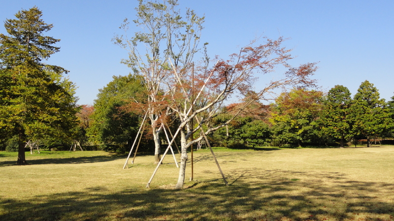 img0044.jpg