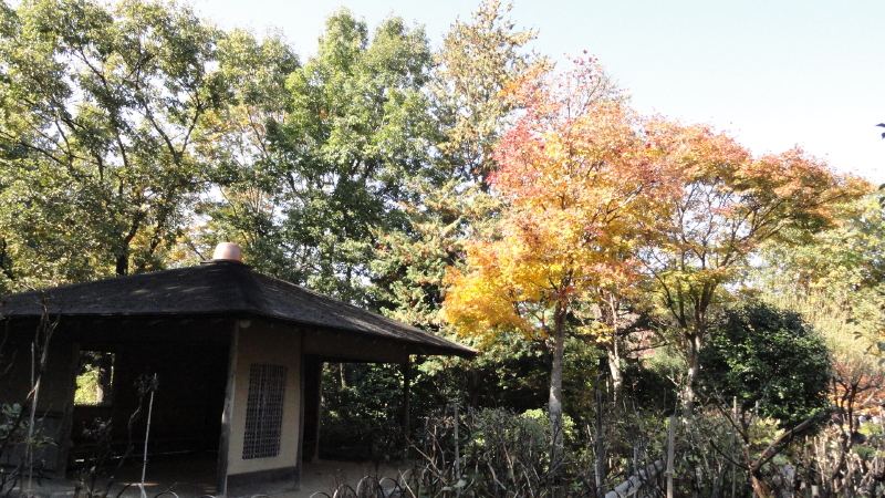 img0048.jpg