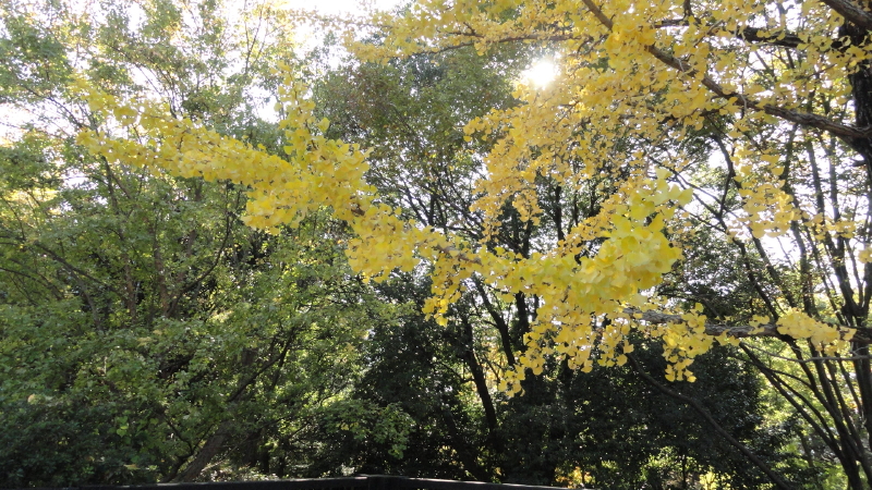 img0080.jpg
