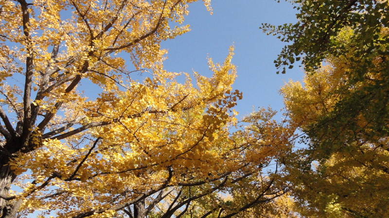 img0083.jpg