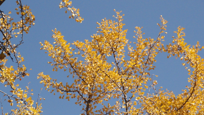 img0084.jpg