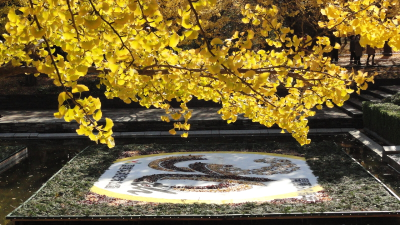 img0085.jpg