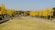 img0000.jpg