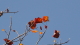 img0013.jpg