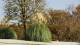 img0016.jpg
